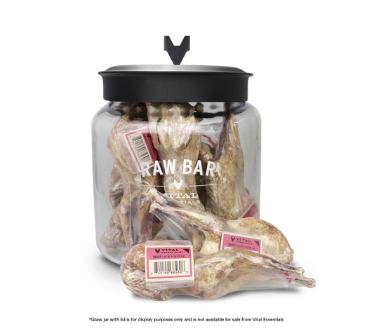 package front vital essentials®_freeze-dried raw bar_quail___dog snacks