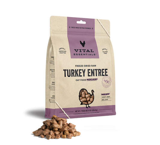 package front vital essentials®_freeze-dried raw_turkey_entree_mini nibs_cat food